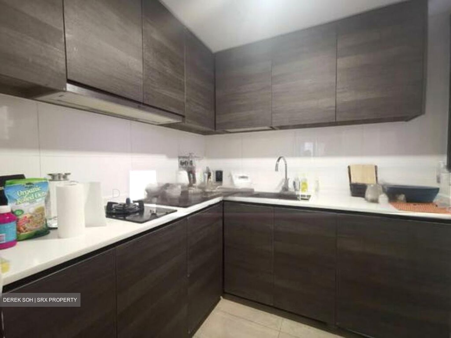 Sims Urban Oasis (D14), Condominium #497393091